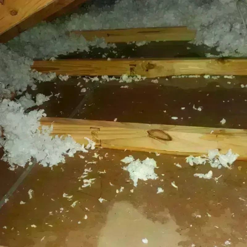 Attic Water Damage in Decaturville, TN