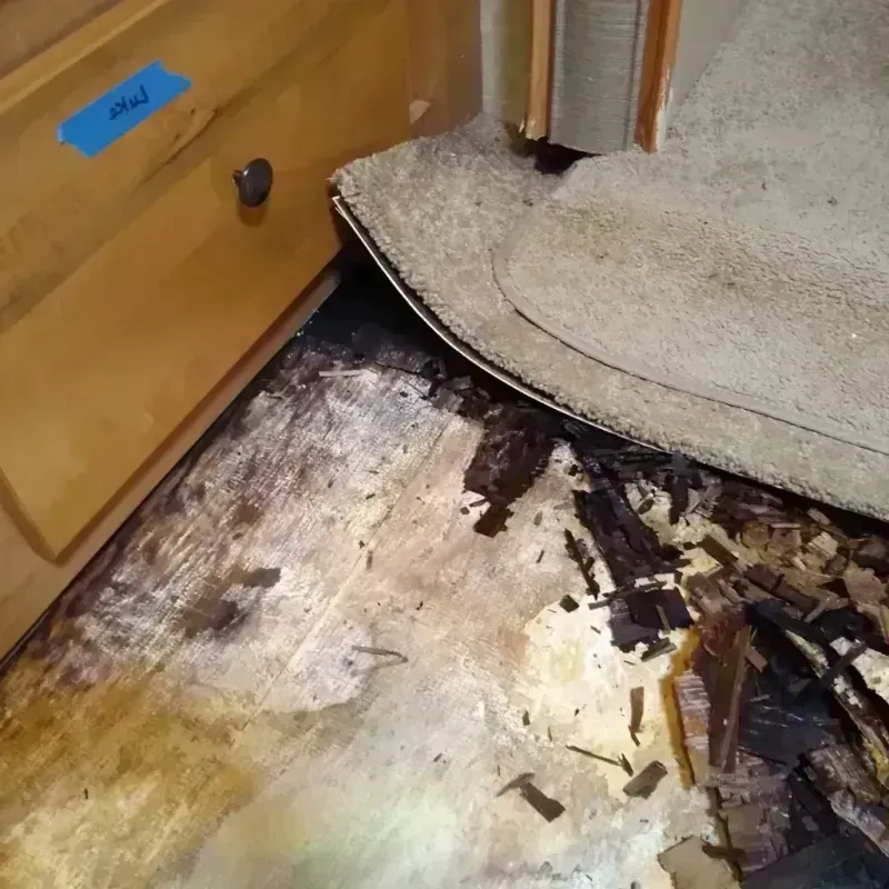 Best Wood Floor Water Damage Service in Decaturville, TN